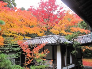 京都大徳寺　高桐院