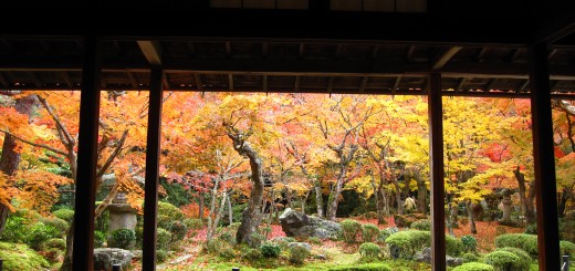 京都　圓光寺