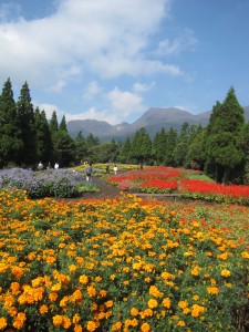 久住花公園の秋