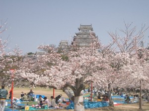 Hanami 3